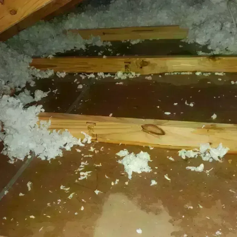 Attic Water Damage in Sabinal, TX